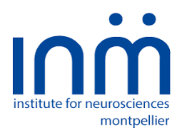 logo de l'institut de neuroscience de Montpellier