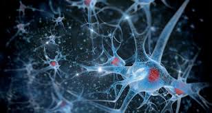 Image De neurones dans le cerveau
