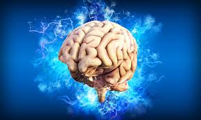 Cerveau : l'audition améliore les performances de mémorisation